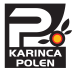 www.karincakitap.net